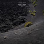 photo de Lanzarote par le photographe Stéphane Scotto