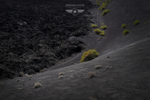 photo de Lanzarote par le photographe Stéphane Scotto