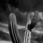 photo de Lanzarote par le photographe Stéphane Scotto