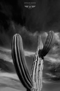 photo de Lanzarote par le photographe Stéphane Scotto