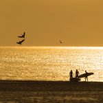 Surfeurs