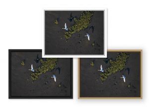 Photo du Bassin d'Arcachon par le photographe Stéphane Scotto décoration tableau photo