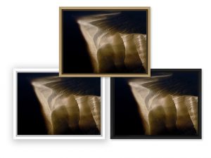 Photo du Bassin d'Arcachon par le photographe Stéphane Scotto décoration tableau photo