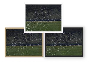 Photo du Bassin d'Arcachon par le photographe Stéphane Scotto décoration tableau photo