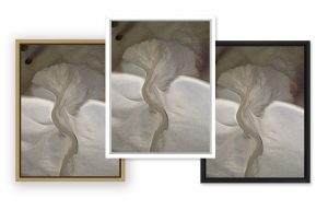 Photo du Bassin d'Arcachon par le photographe Stéphane Scotto décoration tableau photo