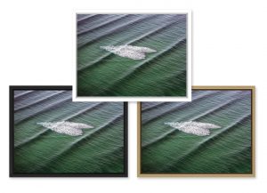 coeur dans les vagues, coeur dans l'océan, coeur d'écume