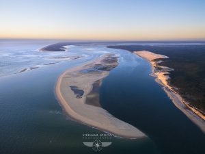 Un hippocampe apparait dessiné sur le Banc d'Arguin