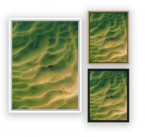 photo aérienne du Bassin d'Arcachon par Stéphane Scotto photographe