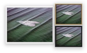 photo aérienne du Bassin d'Arcachon par Stéphane Scotto photographe