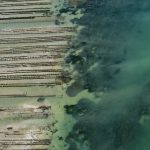 photo aerienne du Bassin d'Arcachon par le photographe Stéphane Scotto