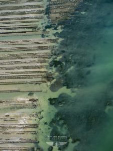 photo aerienne du Bassin d'Arcachon par le photographe Stéphane Scotto