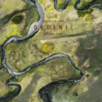 Livre du Bassin d'Arcachon