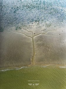Photo aérienne du Bassin d'Arcachon par le photographe Stéphane Scotto