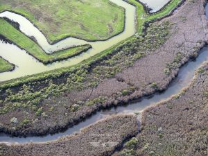 Photographie aérienne du Bassin d'Arcachon par l'artiste photographe Stéphane Scotto