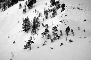 Paysage des hautes pyrénées, au niveau de Cauterets et du parc Naturel