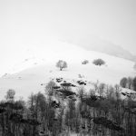 Paysage des hautes pyrénées, au niveau de Cauterets et du parc Naturel