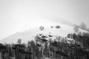 Paysage des hautes pyrénées, au niveau de Cauterets et du parc Naturel