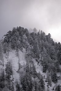 Paysage des hautes pyrénées, au niveau de Cauterets et du parc Naturel