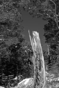 Lac de Gaube, pont d'Espagne. Paysage des hautes pyrénées, au niveau de Cauterets et du parc Naturel