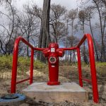 Foret usagere de la Teste de Buch après les incendies