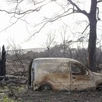 Foret usagere de la Teste de Buch après les incendies