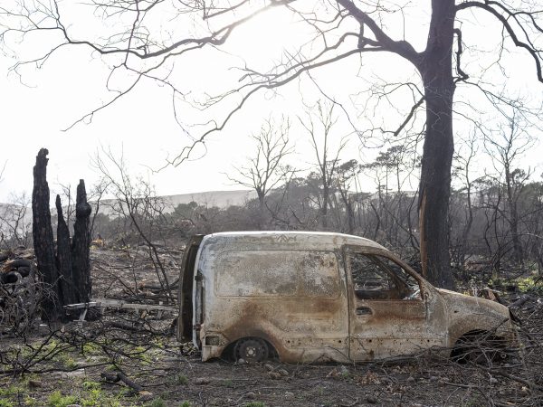 Foret usagere de la Teste de Buch après les incendies