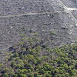 photo aérienne de la foret de la Teste de Buch après les incendies