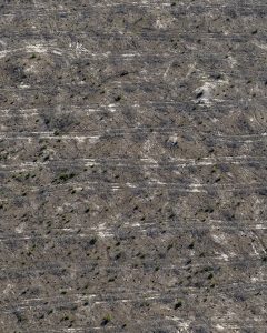 photo aérienne de la foret de la Teste de Buch après les incendies