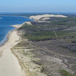 photo aérienne de la foret de la Teste de Buch après les incendies