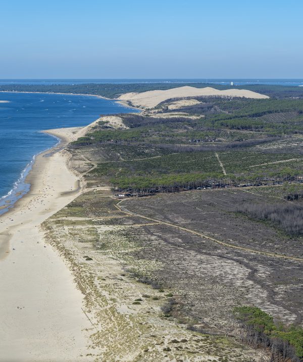 photo aérienne de la foret de la Teste de Buch après les incendies