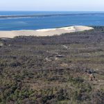 photo aérienne de la foret de la Teste de Buch après les incendies