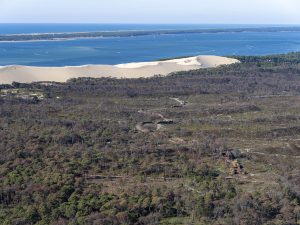 photo aérienne de la foret de la Teste de Buch après les incendies