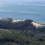 photo aérienne de la foret de la Teste de Buch après les incendies
