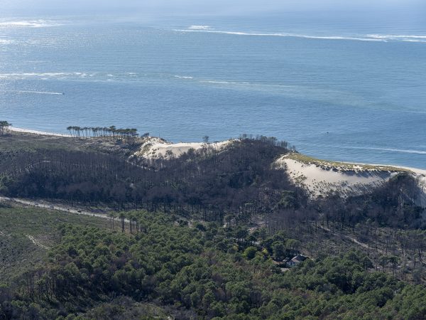 photo aérienne de la foret de la Teste de Buch après les incendies