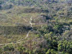 photo aérienne de la foret de la Teste de Buch après les incendies