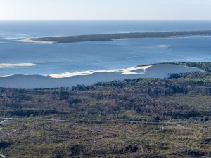 photo aérienne de la foret de la Teste de Buch après les incendies