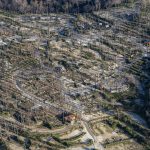 photo aérienne de la foret de la Teste de Buch après les incendies
