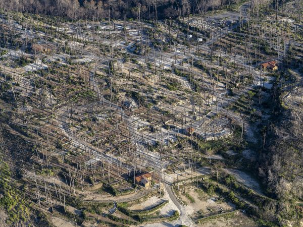 photo aérienne de la foret de la Teste de Buch après les incendies