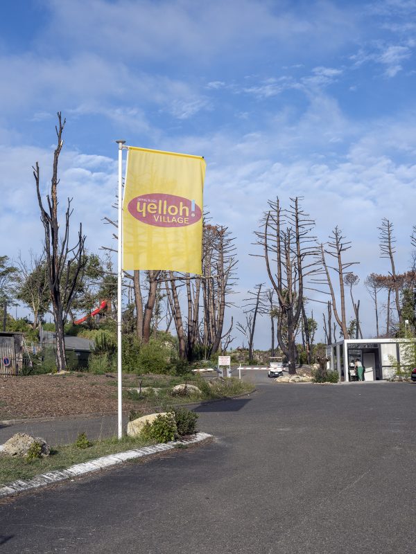 Foret usagere de la Teste de Buch après les incendies