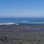 photo aérienne de la foret de la Teste de Buch après les incendies
