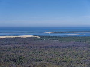 photo aérienne de la foret de la Teste de Buch après les incendies