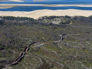 photo aérienne de la foret de la Teste de Buch après les incendies