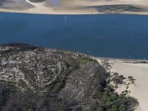 photo aérienne de la foret de la Teste de Buch après les incendies