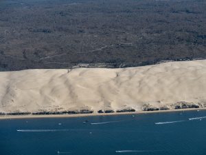 photo aérienne de la foret de la Teste de Buch après les incendies