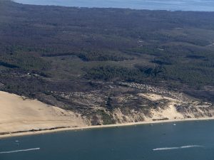 photo aérienne de la foret de la Teste de Buch après les incendies