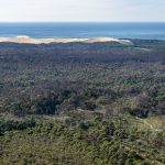 photo aérienne de la foret de la Teste de Buch après les incendies