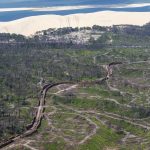 photo aérienne de la foret de la Teste de Buch après les incendies