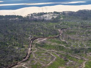 photo aérienne de la foret de la Teste de Buch après les incendies