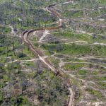 photo aérienne de la foret de la Teste de Buch après les incendies