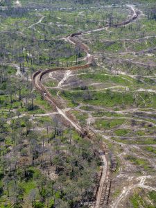 photo aérienne de la foret de la Teste de Buch après les incendies